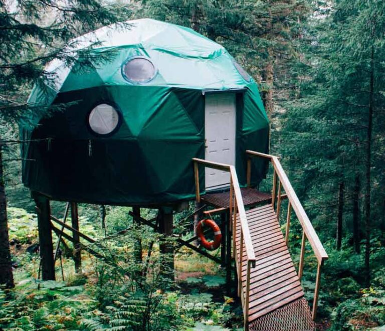 Tree House Camping